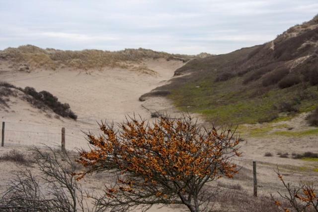 Pakhuis 5 Katwijk aan Zee Екстериор снимка